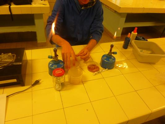 milieu sterile